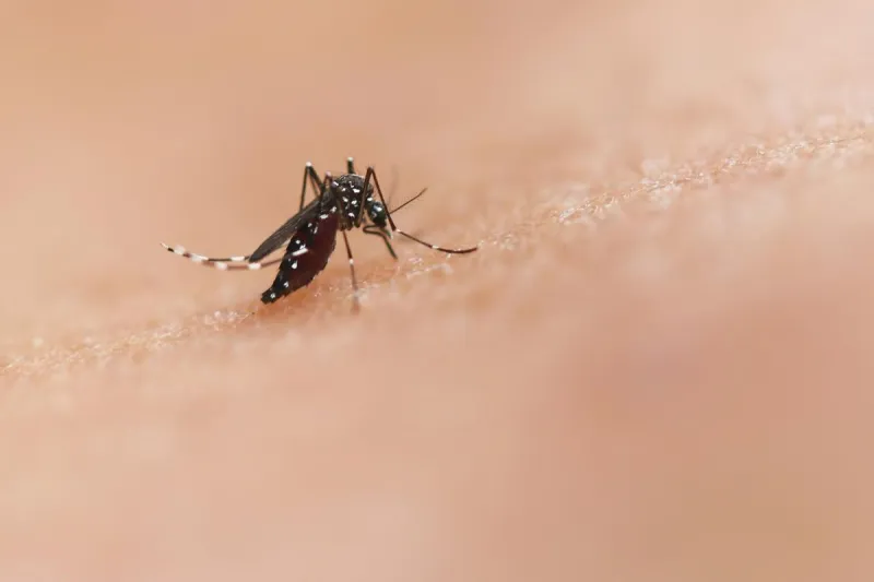 ALERT: West Nile Virus Detected Near Twin Falls