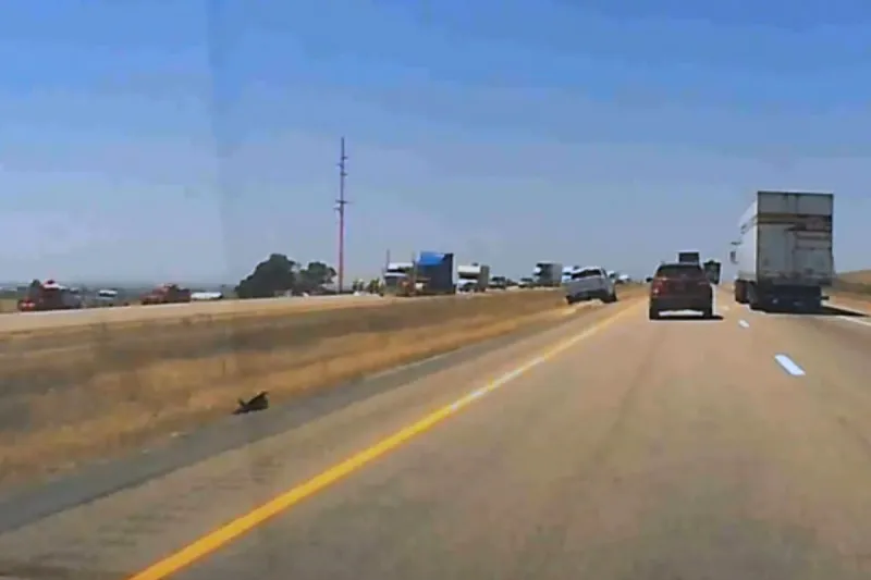 Idaho State Police Reported 2 Fatal Accidents on July 24th