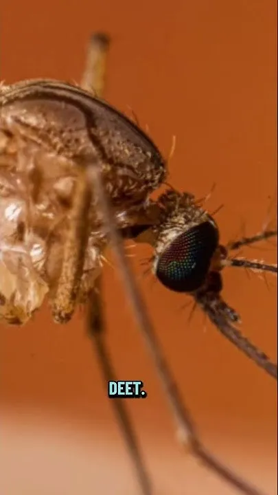 Protect against West Nile virus (Video)