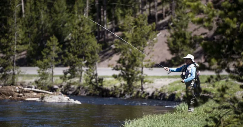 Yellowstone implements additional fishing restrictions on rivers and streams parkwide