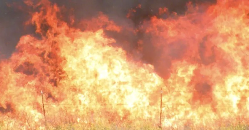 $100,000 up in smoke after lightning ignites 100 acres of grain near Idaho Falls