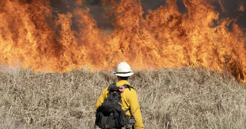 WILDFIRE ROARS BACK: Blaze near Massacre Rocks grows to nearly 2,500 acres overnight as powerful gusts pound area