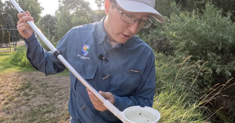 West Nile virus has been found in southern Idaho mosquitoes. Here is what health experts want you to know.