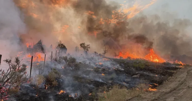 Heroes of Heise: 126 firefighters, dozens of homes saved over two brutal nights and no reinforcements on the way as flames continue to spread