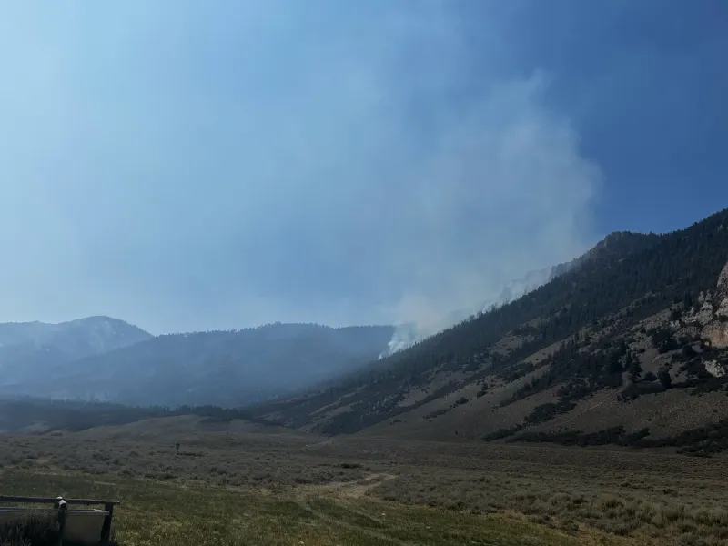 Double Springs Fire tops 1,000 acres near Challis