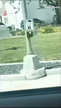 Idaho man returns fire at mass shooter at the In-N-Out in Twin Falls (Video)