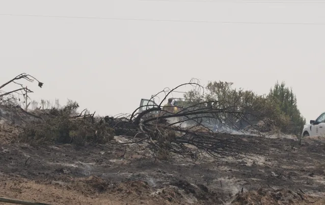 Big Rock Fire Update