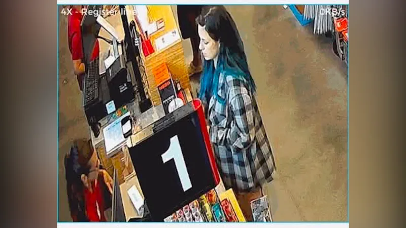 Fremont County Sheriff's Office seeks help identifying person, vehicle in Island Park incident