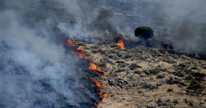 Firefighters and farmers battling 100-acre wildfire near Rexburg sparked by railroad bridge work