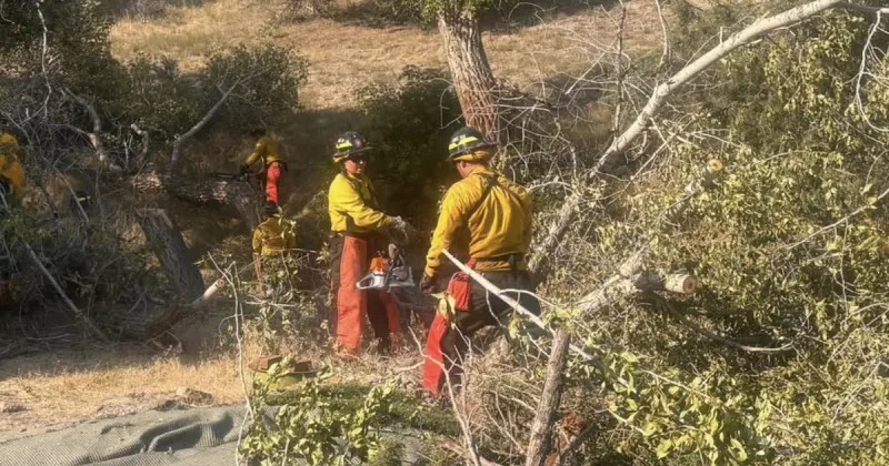 Firefighters winning war against Big Rock Fire near Heise