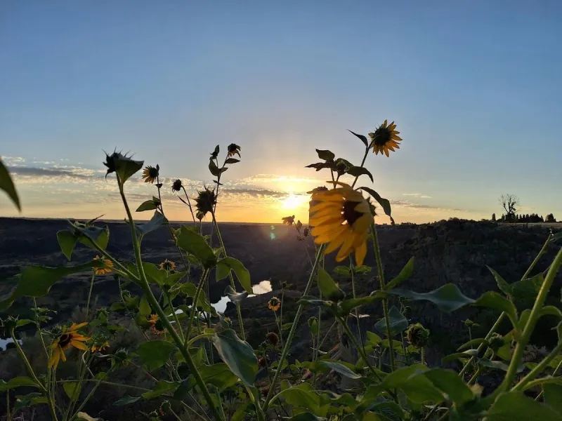 Cooler Weather is Coming Soon to the Magic Valley
