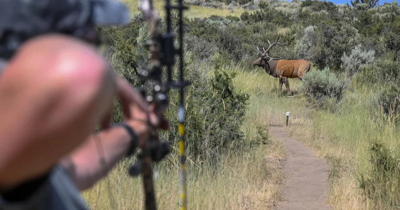 Hunters: As hunting season draws near, now is the perfect time to dial in your bow or firearm