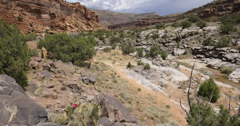 Feds' review of wilderness policies sparks public lands concerns