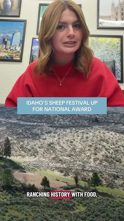 Idaho's Sheep Festival up for national award (Video)