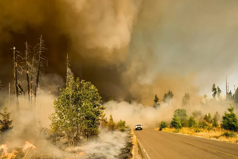 Easy Ways to Improve Indoor Air Quality During Wildfire Smoke