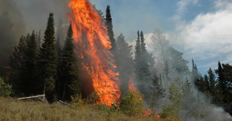 What the Big Grass and Tartar fires mean for hunting in Southwest Idaho
