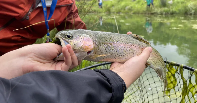 Fish Salvage Order Issued for Karolyn's Pond