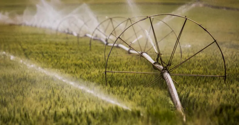 Federal rapid response grant funds U of I drought-planning tools for irrigators