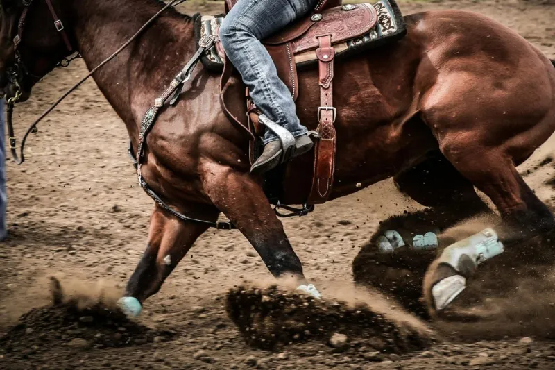 The Cassia County Fair and Rodeo Ends This Weekend in Idaho