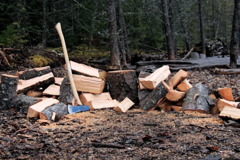 Idaho's Strict '50-Mile Rule' Could Mean Big Fines for Campers, Residents