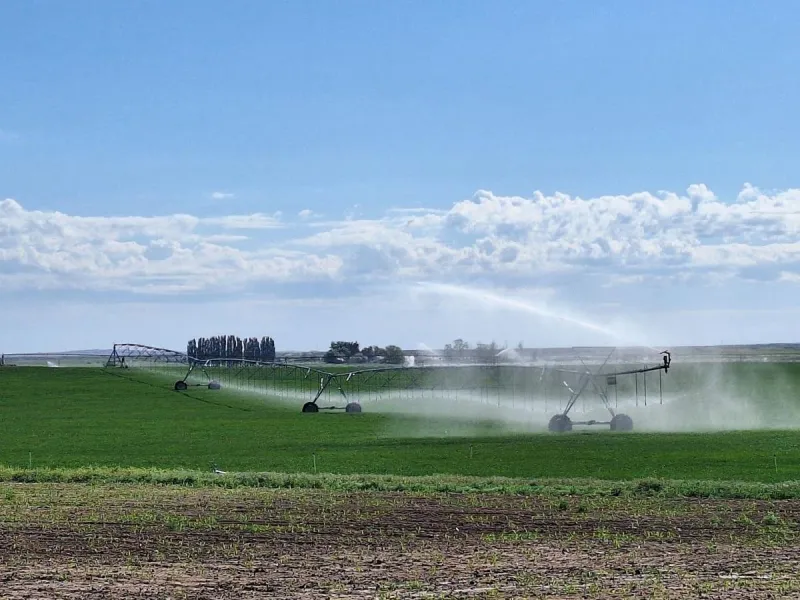 Idaho Drought Holds Firm As Heat Finally Breaks Across The Region