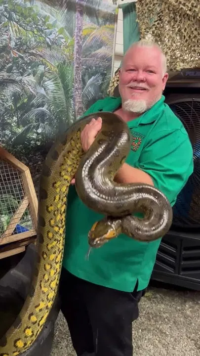 Exotic animals at the North Idaho State (Video)