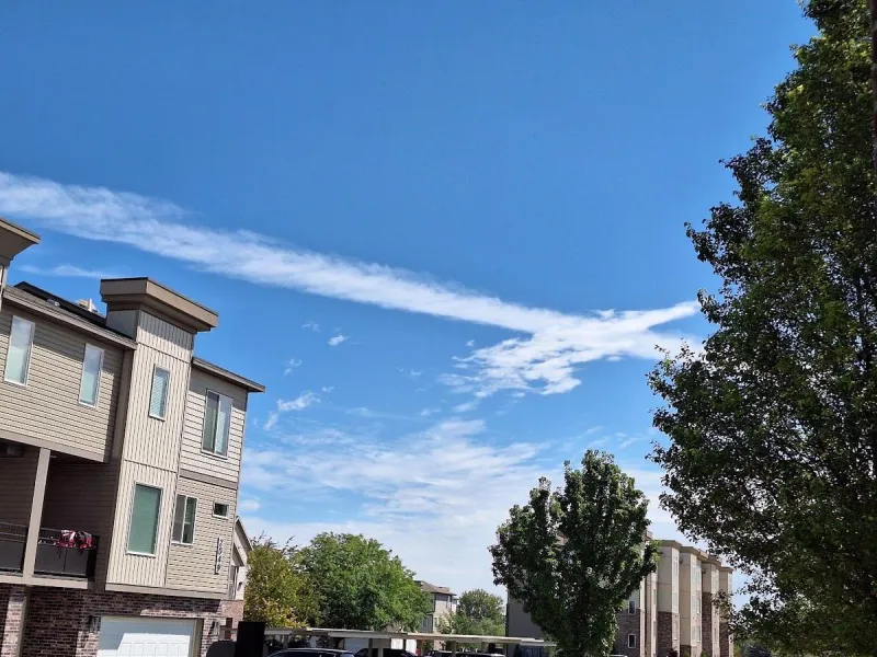 OPINION: The Idaho Chemtrail Crowd Needs Medical Help