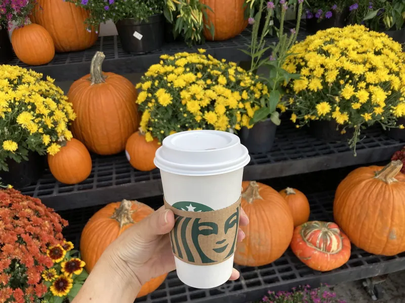 The calendar might still say summer. But this Starbucks fall favorite is back in stores