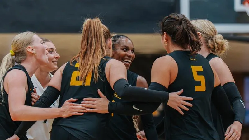Volleyball to Kick Off 2026 Season at Mizzou Invitational