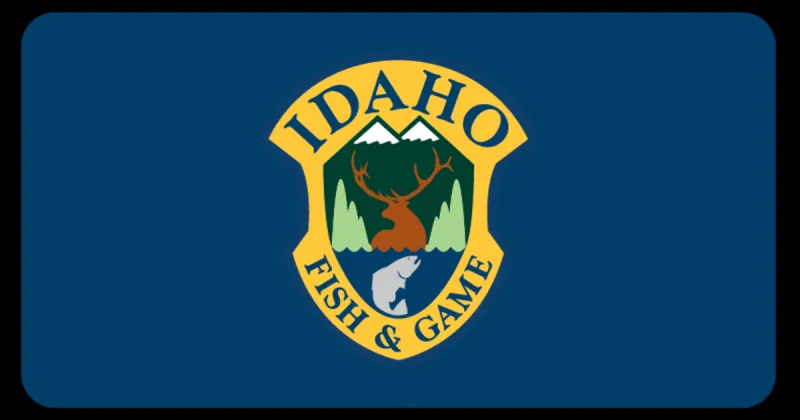 IDFG completes elk depredation reduction effort in Big Willow drainage