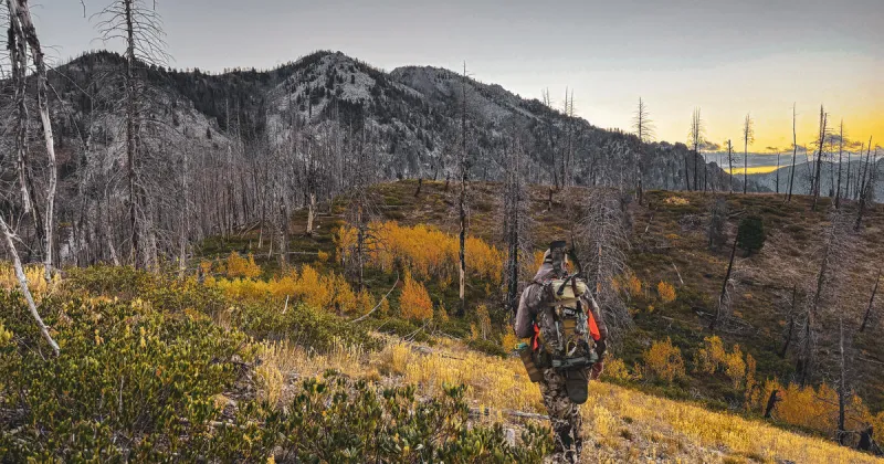 2026 Deer and Elk Hunting Outlook