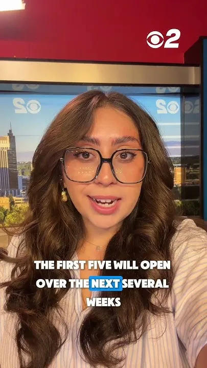 New Idaho DMV kiosks let drivers skip a trip (Video)