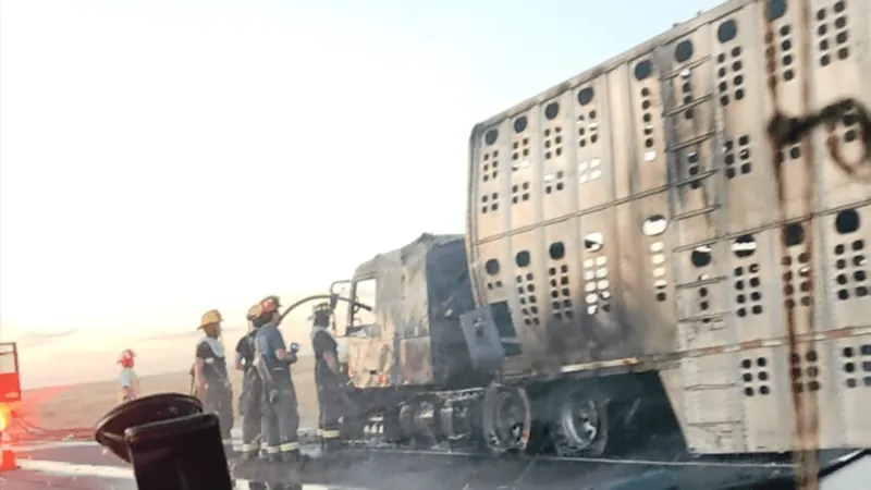 Livestock trailer catches fire on westbound I-84 near Boise Stage Stop