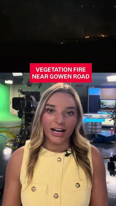 Fire near Gowen Road (Video)