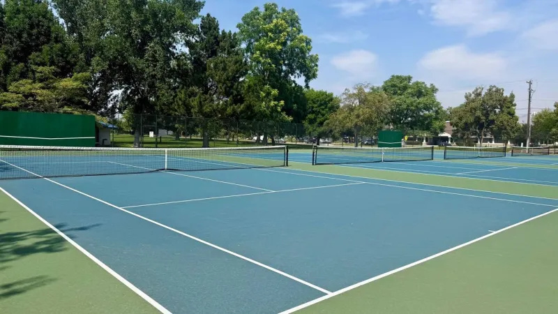 Boise weighs pickleball court conversion at Owyhee Park