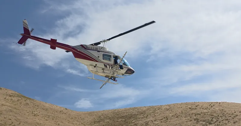 Helicopters spray herbicide near Soldier Mountain to combat invasive cheatgrass
