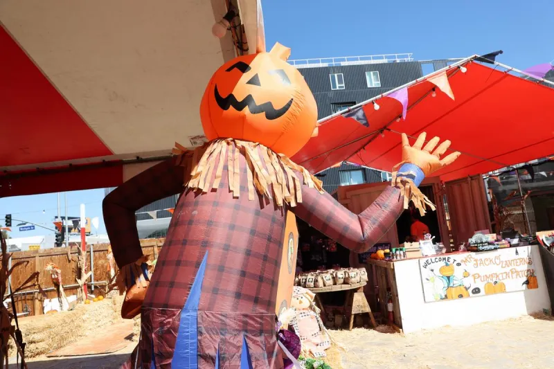 Popular Pumpkin Patch In Boise Area To Open Soon For 2025