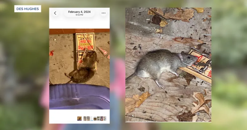 Ada County leaders to gather and address growing rat problem across the Treasure Valley