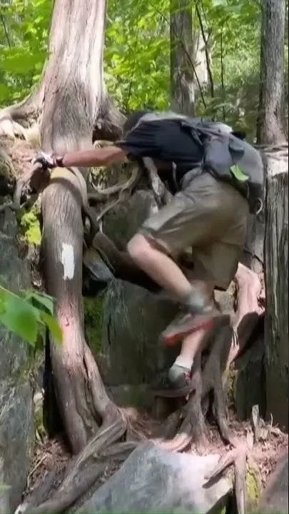 91-year-old completes Appalachian Trail thru-hike despite falling 71 times (Video)
