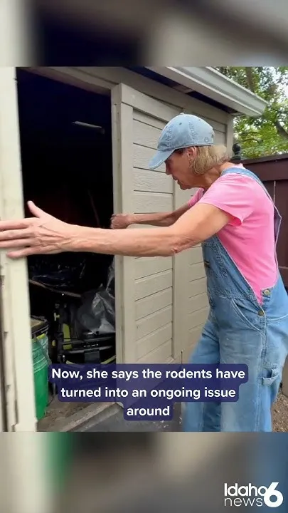 Ada County to host rat meeting (Video)