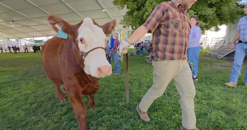 From livestock to monster trucks, the Twin Falls County Fair brings six days of fun to Filer