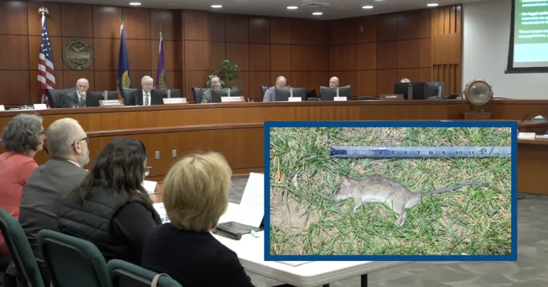 Ada County leaders turn to tracking effort as first step toward addressing growing rat problem