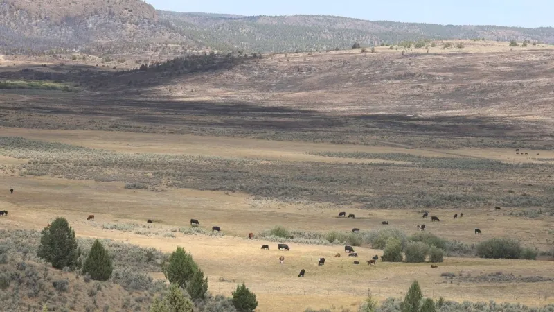 Owyhee County lifts evacuation levels as BLM extends wildfire closure area