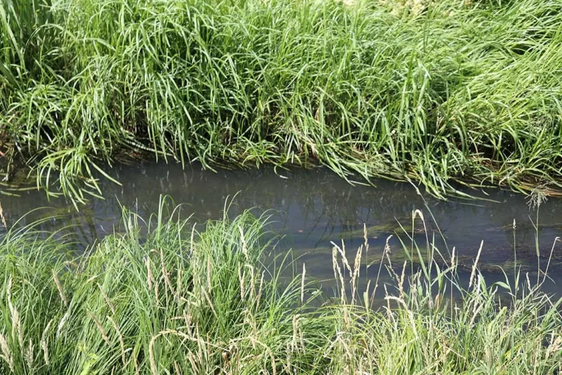 Unearthing Paris' mythical second river