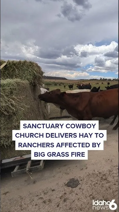Helping ranchers (Video)
