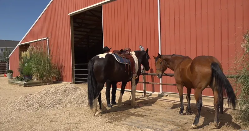 Caldwell residents fundraise to keep mounted police patrol alive