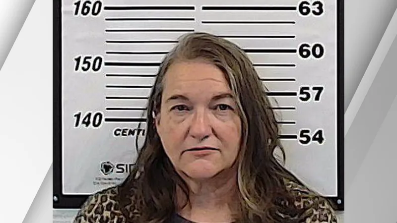 Former Island Park city clerk charged with embezzling public funds