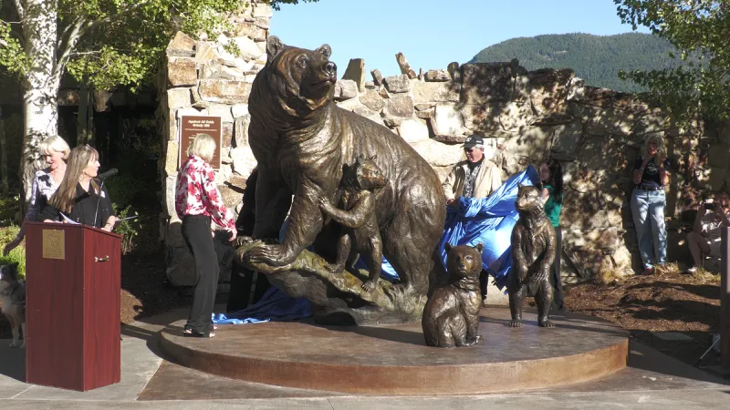 Grizzly 399 sculpture unveiled at National Museum of Wildlife Art