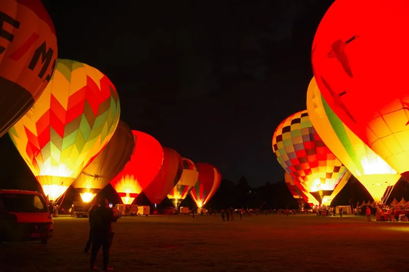 Boise's Magical 'Nite Glow' Draws Thousands to Ann Morrison Park