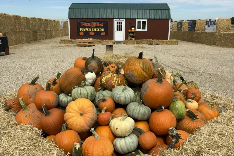 Idaho's Largest Straw Maze Is at This Nampa Pumpkin Patch